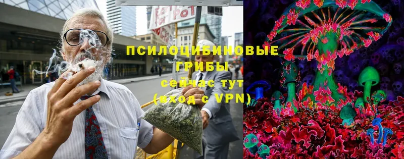 Галлюциногенные грибы Magic Shrooms  Бабушкин 